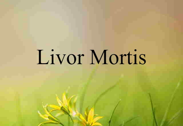 livor mortis