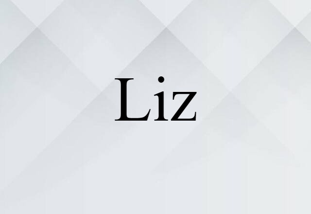 Liz (noun) Definition, Meaning & Examples