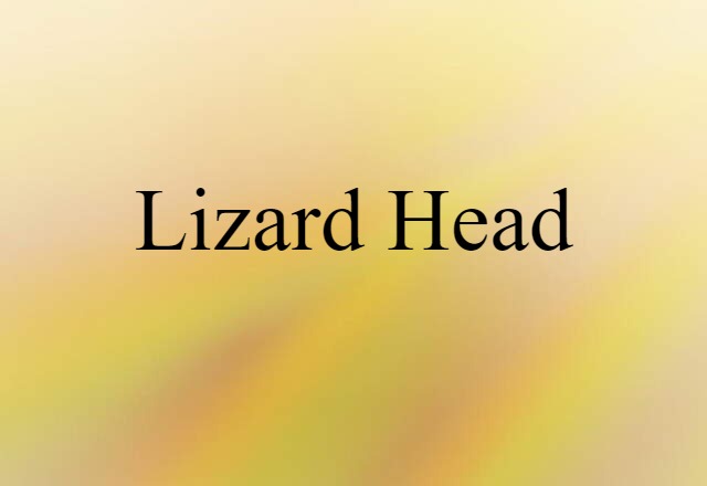 Lizard Head (noun) Definition, Meaning & Examples