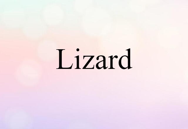 lizard