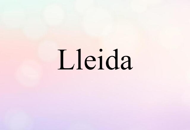 Lleida (noun) Definition, Meaning & Examples