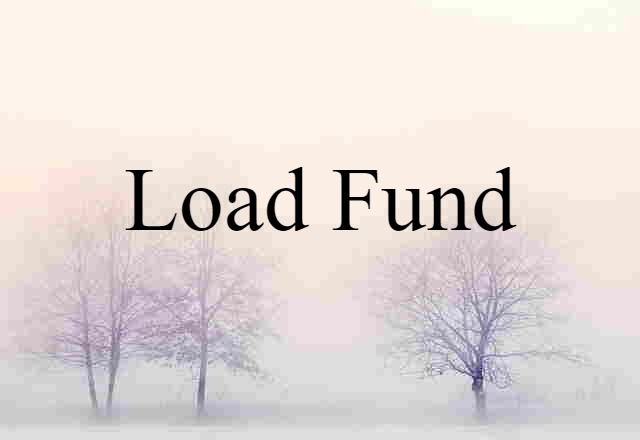 Load Fund (noun) Definition, Meaning & Examples