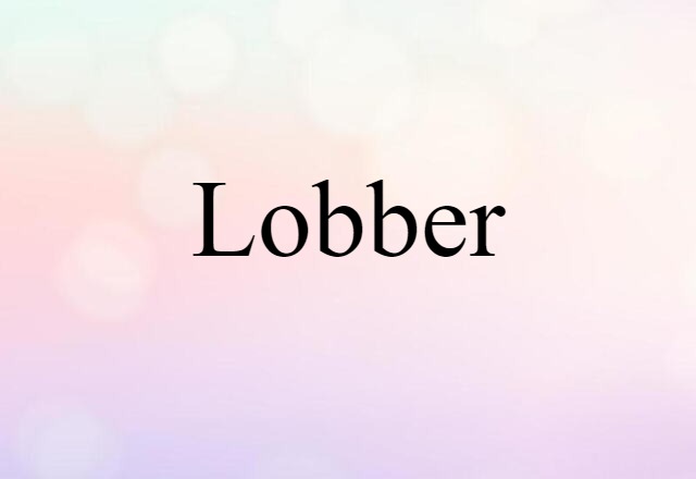 Lobber (noun) Definition, Meaning & Examples