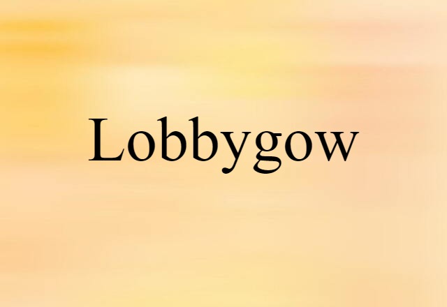 Lobbygow (noun) Definition, Meaning & Examples