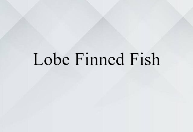 Lobe-finned Fish (noun) Definition, Meaning & Examples