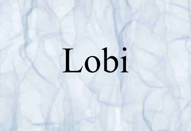 lobi