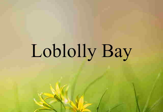 loblolly bay