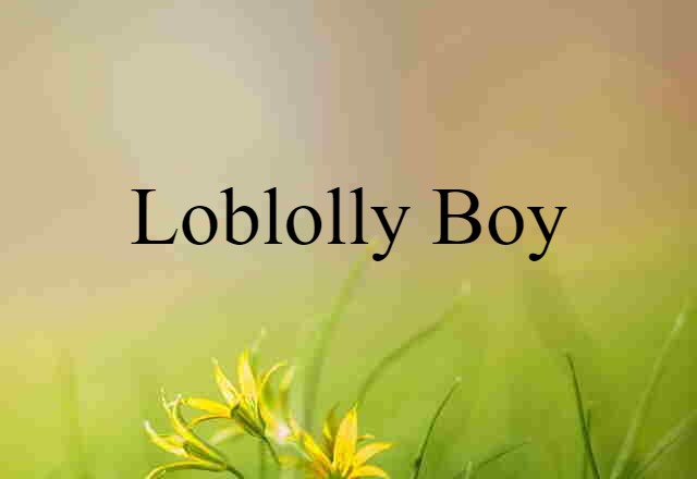 loblolly boy