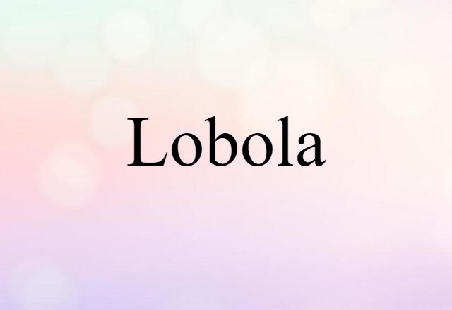 Lobola (noun) Definition, Meaning & Examples