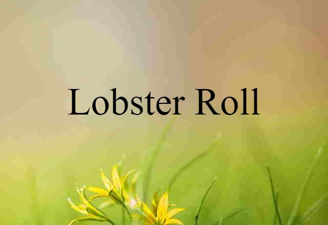 Lobster Roll (noun) Definition, Meaning & Examples