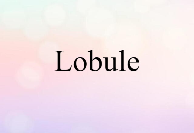 lobule