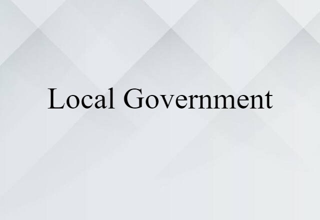 Local Government (noun) Definition, Meaning & Examples