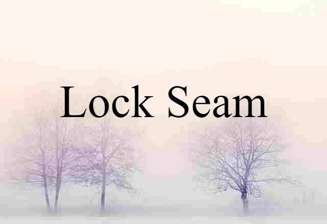 Lock Seam (noun) Definition, Meaning & Examples