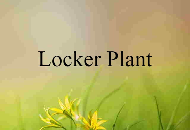 locker plant