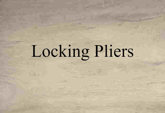 Locking Pliers (noun) Definition, Meaning & Examples