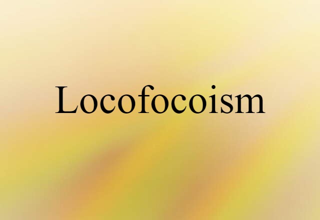 Locofocoism (noun) Definition, Meaning & Examples