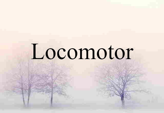 Locomotor (noun) Definition, Meaning & Examples