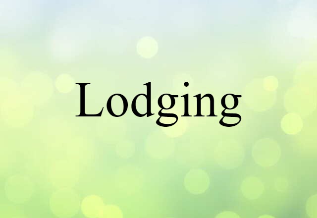 Lodging (noun) Definition, Meaning & Examples