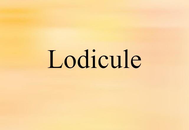 lodicule