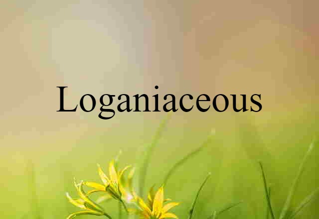 Loganiaceous (noun) Definition, Meaning & Examples