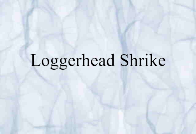 Loggerhead Shrike (noun) Definition, Meaning & Examples