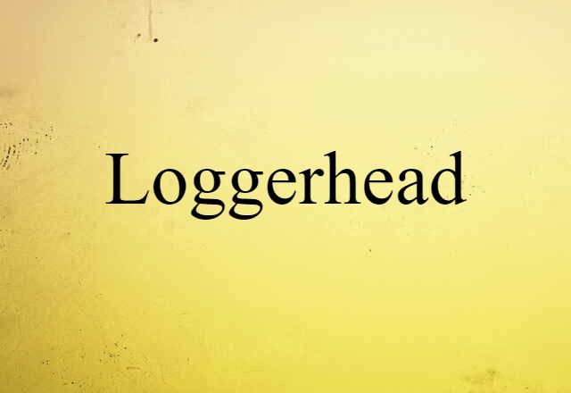 Loggerhead (noun) Definition, Meaning & Examples