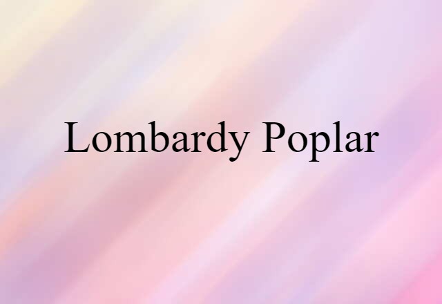 Lombardy poplar