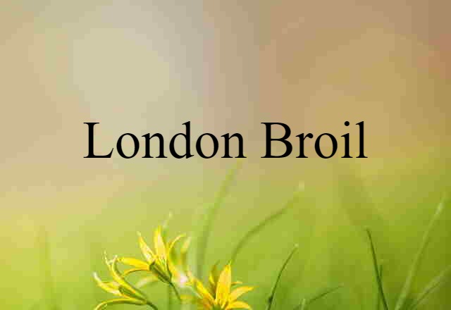 London Broil (noun) Definition, Meaning & Examples