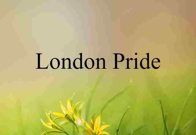 London Pride (noun) Definition, Meaning & Examples