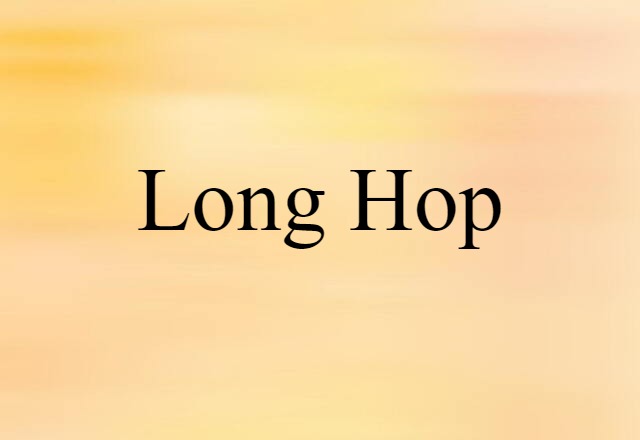 Long Hop (noun) Definition, Meaning & Examples