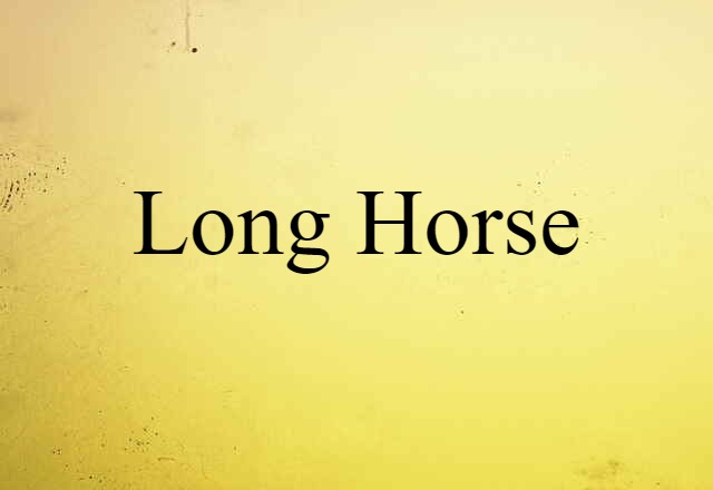 Long Horse (noun) Definition, Meaning & Examples