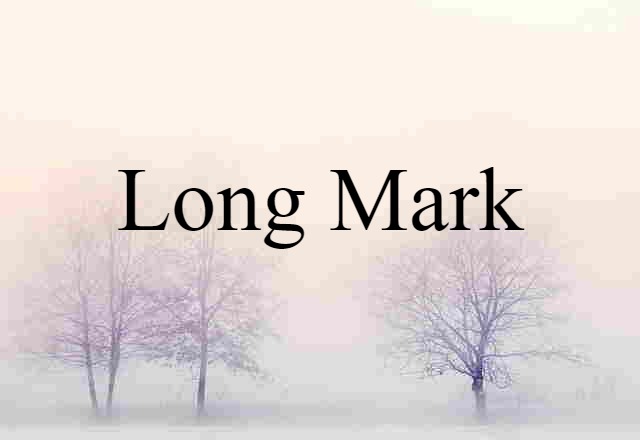 Long Mark (noun) Definition, Meaning & Examples