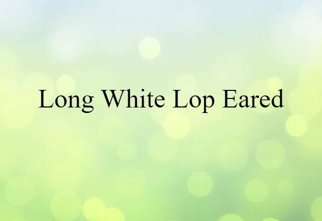 long white lop-eared