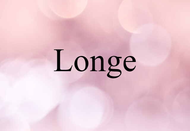 Longe (noun) Definition, Meaning & Examples