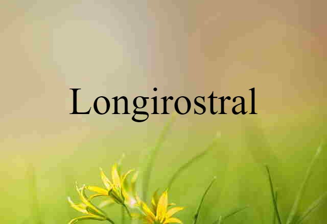 Longirostral (noun) Definition, Meaning & Examples