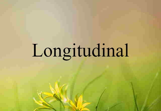 longitudinal