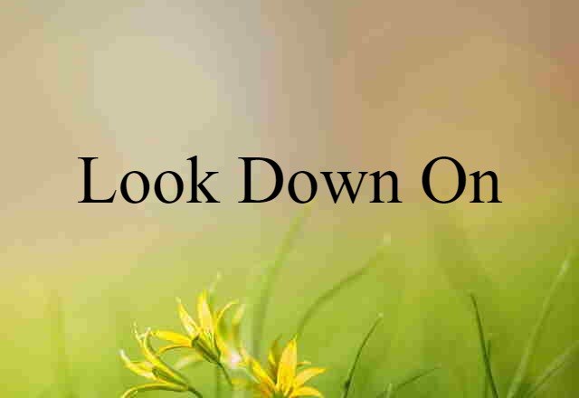 Look Down On (noun) Definition, Meaning & Examples