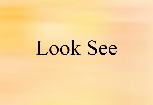 Look-see (noun) Definition, Meaning & Examples