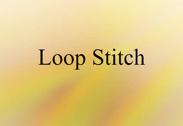 Loop Stitch (noun) Definition, Meaning & Examples