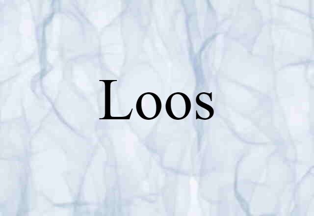 Loos (noun) Definition, Meaning & Examples