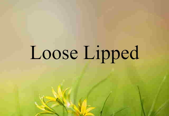 Loose Lipped (noun) Definition, Meaning & Examples