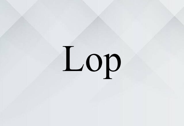 Lop (noun) Definition, Meaning & Examples