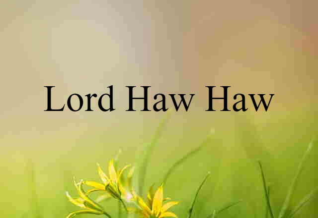 Lord Haw-Haw (noun) Definition, Meaning & Examples