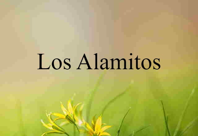 Los Alamitos (noun) Definition, Meaning & Examples