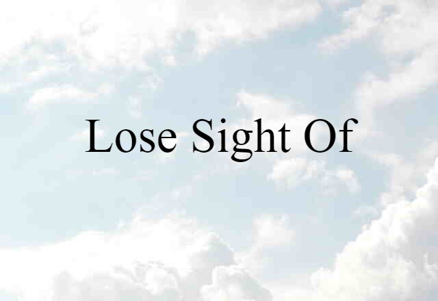 lose sight of