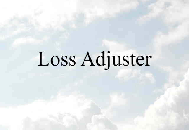 loss adjuster