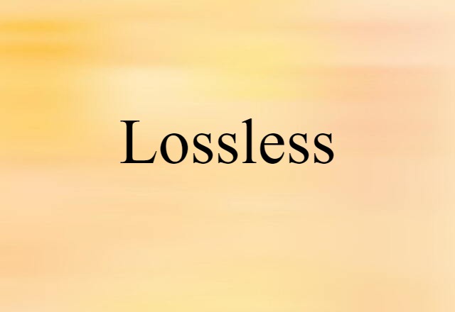 Lossless (noun) Definition, Meaning & Examples