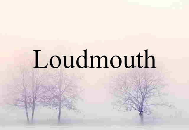 Loudmouth (noun) Definition, Meaning & Examples