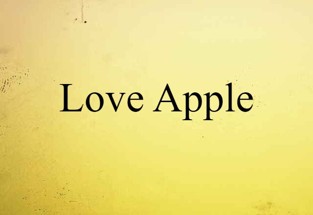 Love Apple (noun) Definition, Meaning & Examples