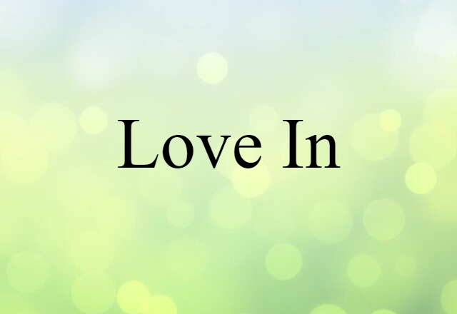 Love In (noun) Definition, Meaning & Examples